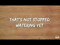 Waylon Wyatt - Wishbone (Lyrics)