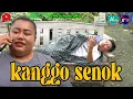 Lagu KANGGO SENOK || kampung pantura || film pendek Indramayu