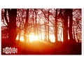 Download Lagu Sebastian Mullaert - Dance thru Shadowed Structures Mix