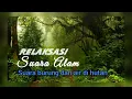 Download Lagu suara burung dan suara air di hutan - bikin tenang pikiran - relaxation sounds of nature
