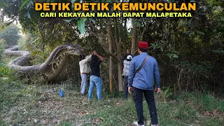 DETIK DETIK ULAR RAKSASA INI, TIBA TIBA MUNCUL!