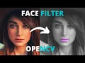 Facial Landmarks and Face Filter using OpenCV Python