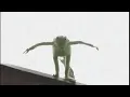 Kermit Commits Somthing