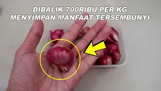 Manfaat Tak Terduga Bawang Merah Untuk Kesehatan