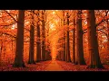 Download Lagu Prachtige ontspannende muziek 🍁 Rustgevende piano met herfstbries voor stressverlichting #18