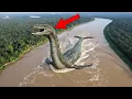 Real Monsters That Were Actually Caught In The Amazon