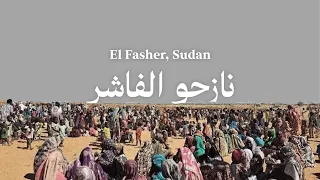 نازحو الفاشر 