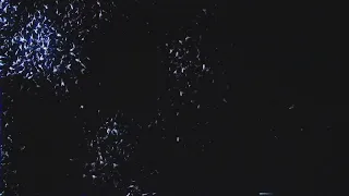 my chemical romance the foundations of decay