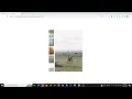 Make Image Gallery Using HTML CSS JavaScript Create Image Gallery Step by Step