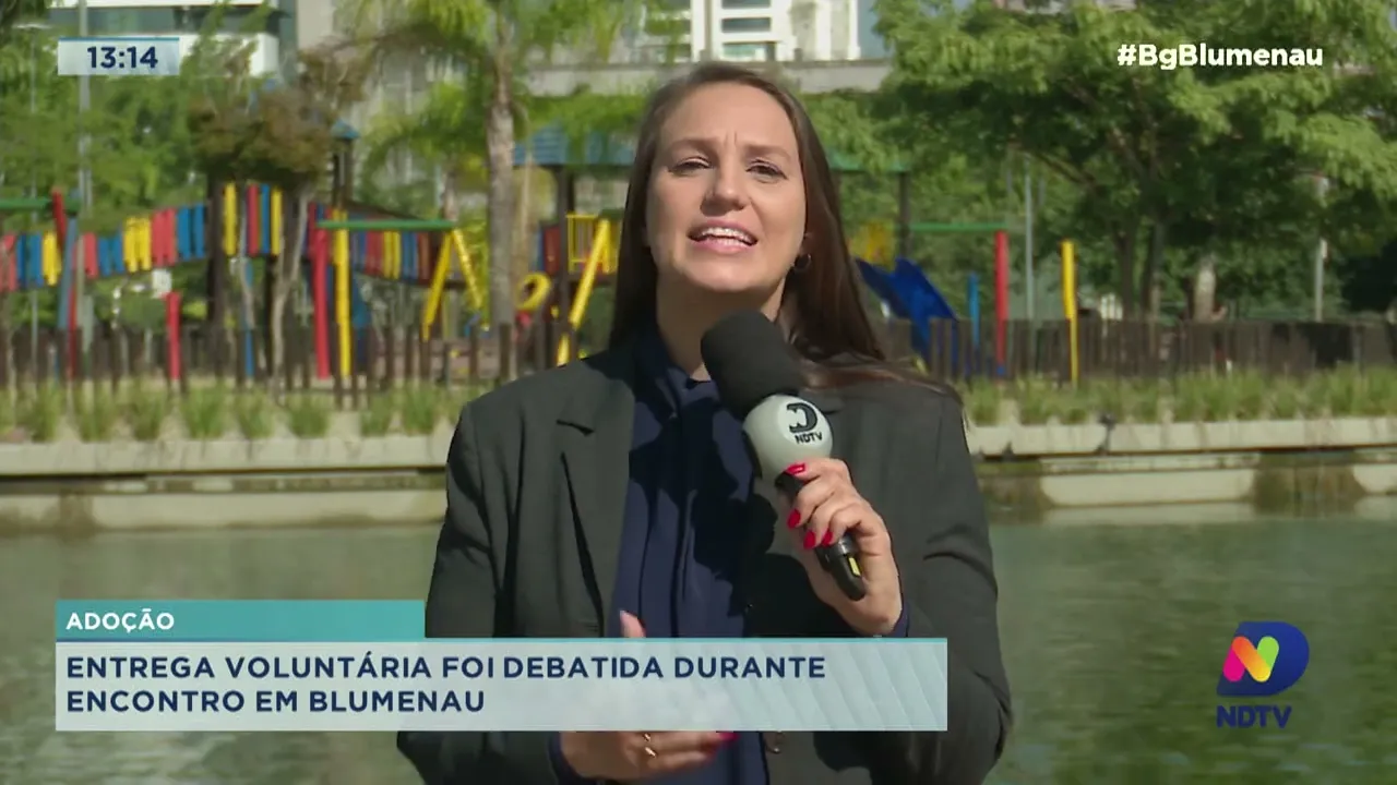 Evento em Blumenau traz o tema da adoção voluntária