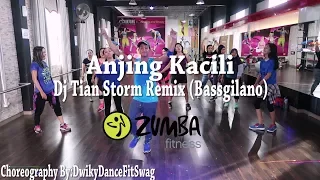 Download Anjing Kacili Remix  By Tian Storm (Bassgilano) (Choreography) | At BFS Studio (Zumba) MP3