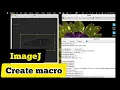 How to automate image processing in ImageJ with a single click How to create a macro in ImageJ