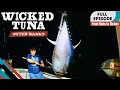 Download Lagu Wicked Tuna- Outer Banks [From Rods to Riches] Sn 1 | Ep 7 (Full Show)