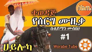 Ethiopia ሀይሎካ ተወዳጅ የሰርግ ሙዚቃ ሱለይማን ሙስበሀ ስልጥኛ Suleyman Best Siltie Wedding Music 
