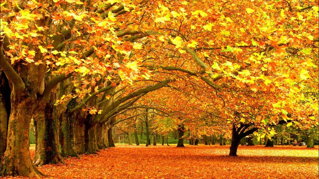 Autumn Leaves - Eva Cassidy & the London Symphony Orchestra