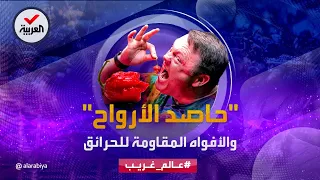عالم غريب   أقوى أنواع الفلفل الحار في العالم   يقتل البعض ويتلذذ به البعض الآخر دندنها