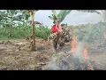 Download Lagu Bersih semua sudah disamping rumah kakak||siap tanam