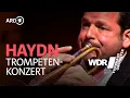 Download Lagu Haydn - Trumpet Concerto in E-flat Major | Jeroen Berwaerts | WDR Funkhausorchester