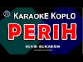 Download Lagu Karaoke Dangdut Koplo Perih - Elvy Sukaesih | Nada Wanita