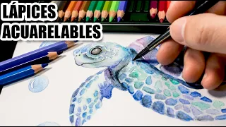 Cómo pintar con Lápices Acuarelables | Tutorial completo para principiantes