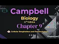 Cellular Respiration Explained in 10 Minutes Campbell Biology Chapter 9