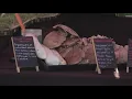Buechel Farmer s Market making locally grown food accessible