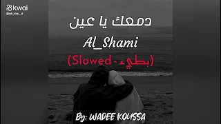 دمعك يا عين بطيء دندنها