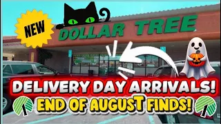 EPIC DELIVERY DAY FINDS DOLLAR TREE S NEW LOCATION 2026