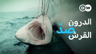 وثائقي  أستراليا   طائرات م سيرة وتقنيات حديثة لمواجهة أسماك القرش   وثائقية دي دبليو دندنها