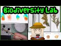 Relationships and Biodiversity NYS Living Environment Lab Lab