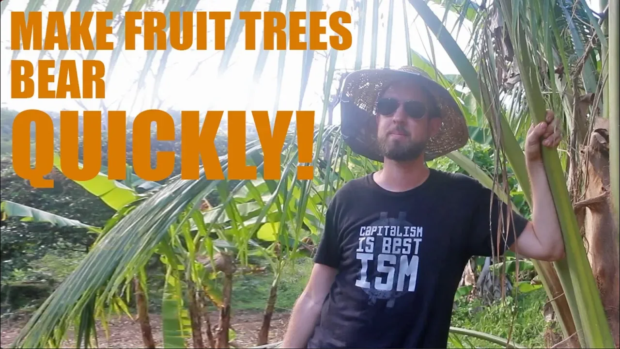 THE EASY WAY TO MAKE A COCONUT BONSAI. 