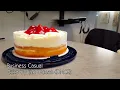 Cake by the Ocean (DNCE) - Business Casual a cappella
