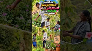 அம்முச்சியோட சின்ன பூந்தோட்டம் எப்படி  இருக்குனு பாருங்க! 😍🌸🌿🏡❤️