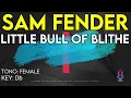 Sam Fender - Little Bull Of Blithe - Karaoke Instrumental - Female