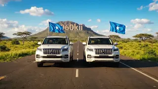 Xornimada somalia