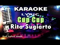 Download Lagu Cup Cup Karaoke Tanpa Vokal