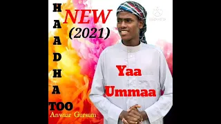 anwar gursum hadhaa too towbaa show 