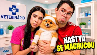 NOSSA CACHORRINHA SE MACHUCOU SÉRIO?!