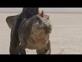 Two Carcharodontosaurus Regret Cornering a Spinosaurus