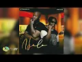 Download Lagu Ntwana_R and PRVIS3 - Njalo (Official Audio)