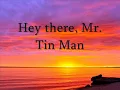 Miranda lambert tin man lyrics
