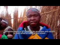 Download Lagu The Ndebele culture - 13 Manhood: 10 July 2017
