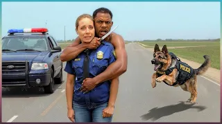Wenn Polizeihunde Die Lage Retten