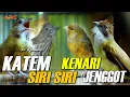 Download Lagu KAPAS TEMBAK GACOR - SIRI SIRI - CUCAK JENGGOT - KENARI