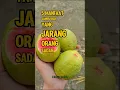5 Manfaat Jambu Biji Yang Jarang Orang Sadar