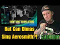 Dimas Senopati - I Don't Want to Miss a Thing ( Reaction ) ACOUSTIC AEROSMITH COVER