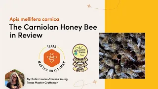 Apis mellifera carnica The Carniolan Honey Bee in Review 1 1