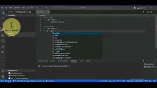 Python method overloading CodeLearning