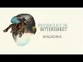 Rodriguez Jr. - Niagadina - mobilee084