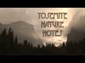 Monarchs & Milkweed - Yosemite Nature Notes - Episode 24
